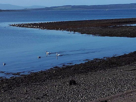 Largs Sea Front